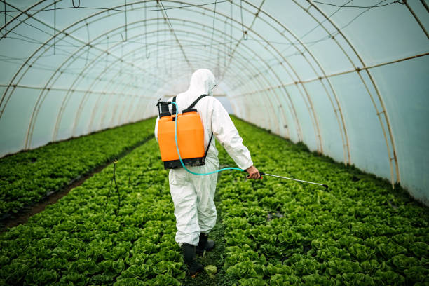 Best Commercial Pest Control Services  in Tuba City, AZ