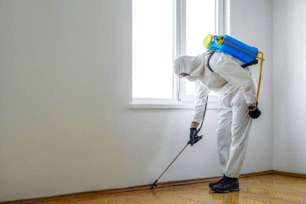 Pest Prevention Services in Tuba City, AZ