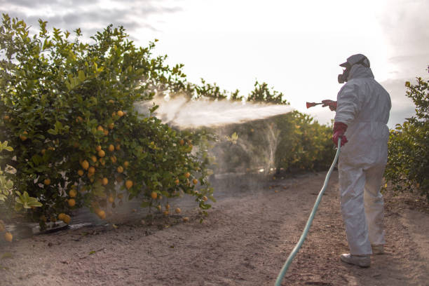 Best Best Pest Control Companies  in Tuba City, AZ
