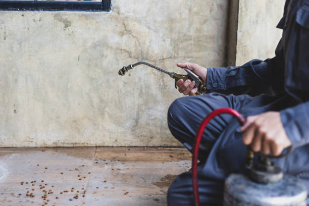 Professional Pest Control in Tuba City, AZ